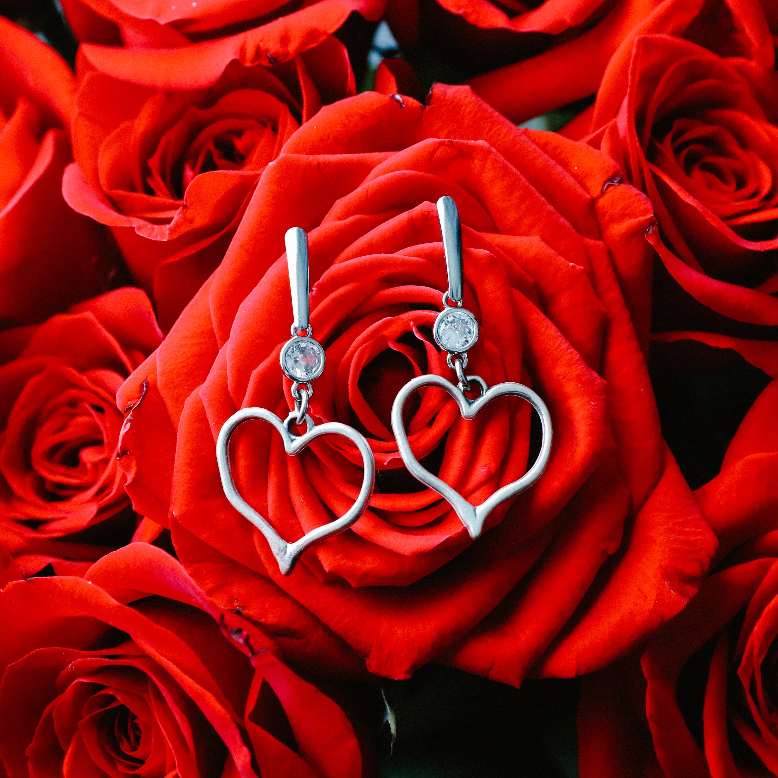 MARIETTA HEART EARRING