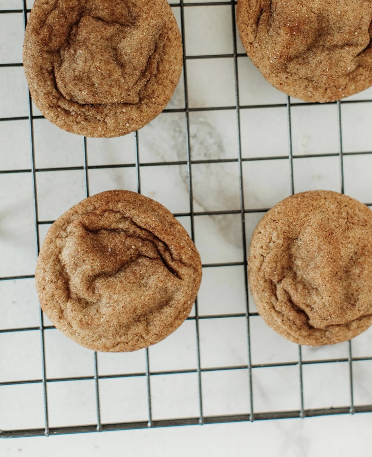 Pumpkin Snickerdoodle- Fall 26